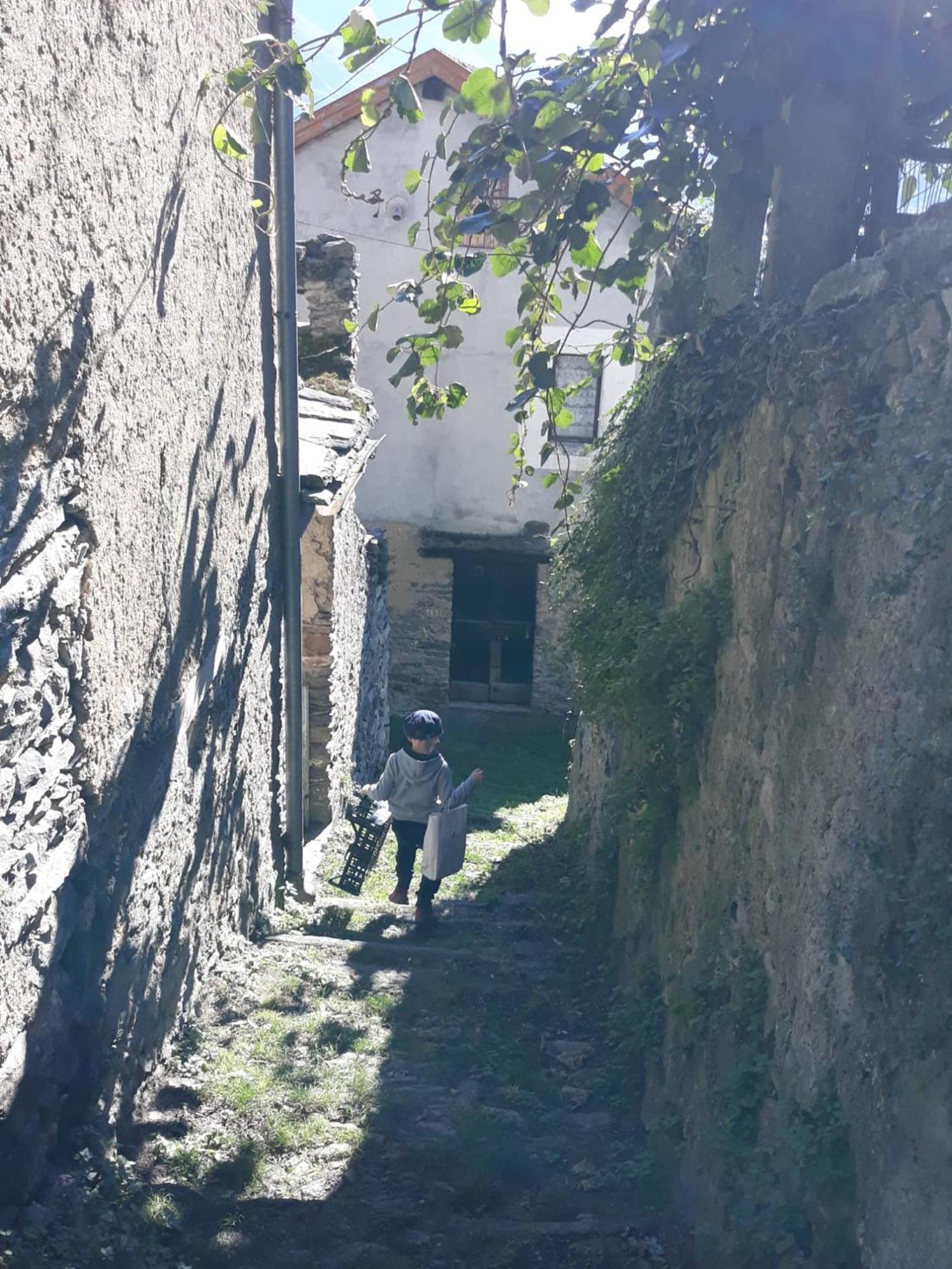 Al Pinone Villa Crevoladossola Екстериор снимка